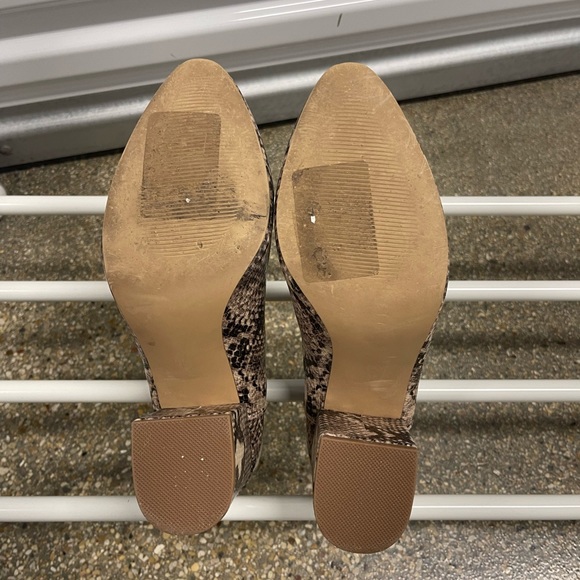 Steve Madden | Snake Print | Round Toe Ankle Booties - Picture 7 of 7